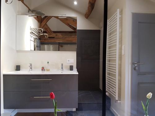 a bathroom with a sink and a mirror at Le Vieux Logis de la Galocherie in Sainte-Florence