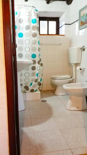 ein Badezimmer mit Toilette und Duschvorhang in der Unterkunft Monte do Altinho in Tanganheira