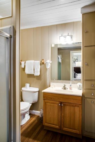 a bathroom with a sink and a toilet and a mirror at Cliff Dwellers Inn in Blowing Rock