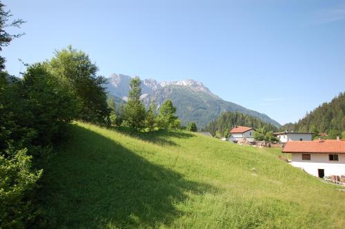 a green grassy hill with a mountain in the background at Appartement Tirol in Biberwier