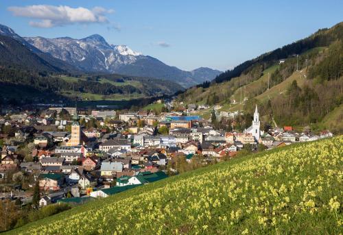 a town in the mountains with a field of flowers at Panorama Lodge Premium Apartments in Schladming