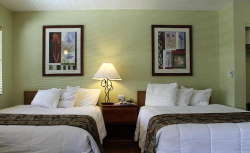 a hotel room with two beds and a lamp at Big Pines Mountain House in South Lake Tahoe