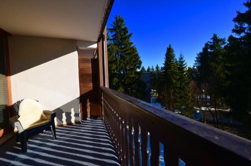 einen Balkon mit einem Stuhl und Blick auf die Bäume in der Unterkunft Kappeberg Lodge in Winterberg