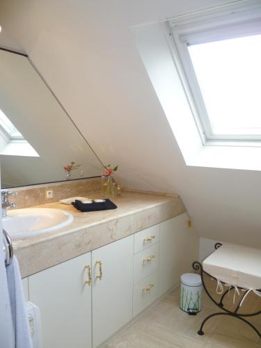 a bathroom with a sink and a skylight at Bois Joli de la Freyère in Hindisheim