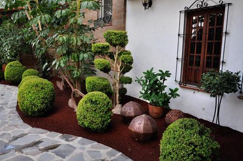 Zahrada ubytování Hacienda La Moreda Hotel Boutique & Spa