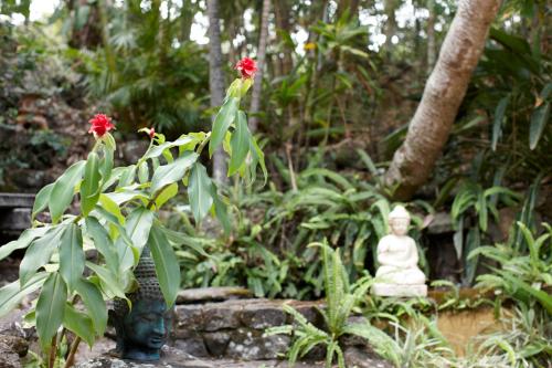 a garden with a statue and a plant with red flowers at Garden Burees in Byron Bay