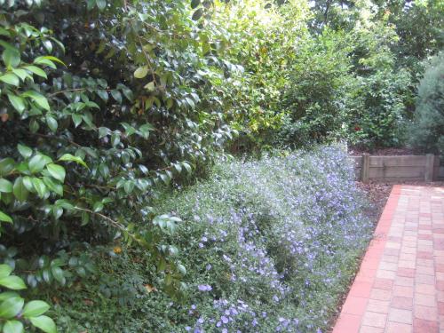 a garden with purple flowers and a brick path at Bungunyah Apartments in Croydon
