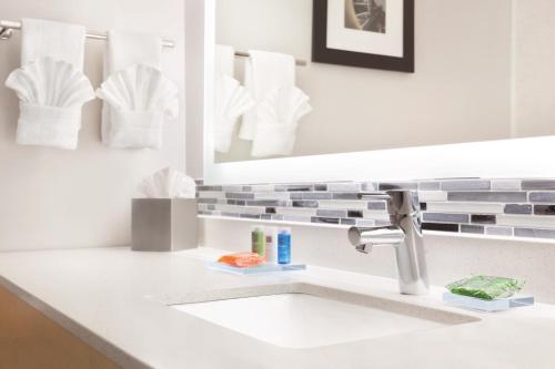 a bathroom with a sink and a mirror at Radisson Hotel Charlotte Airport in Charlotte