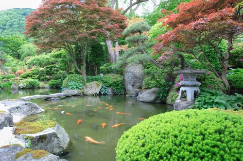 a garden with a pond with goldfish in it at Kansyokan in Mogami