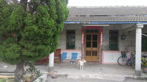 芳苑鄉的住宿－雪花雅居Xuehua Ya Ju Homestay，站在建筑物前的狗