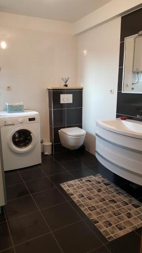 a bathroom with a washing machine and a sink at Apartman Baric in Sevid
