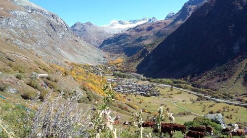 a group of animals grazing in a valley with mountains at Chalet Le Bois Joli in Bonneval-sur-Arc