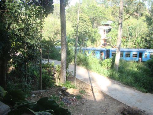 a blue train traveling down a track in the woods at Udessa Rest Ella in Ella