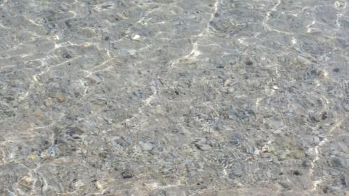 a close up of water with rocks in it at Shima Stay holoholo in Zamami