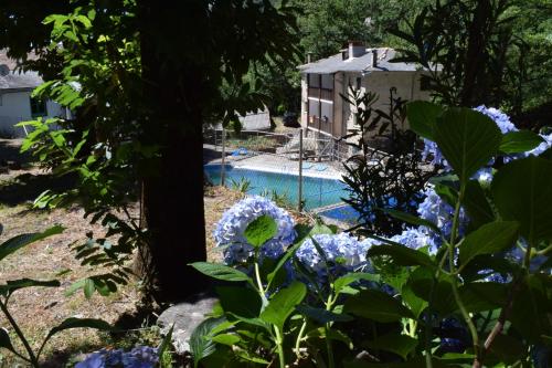 a garden with blue flowers and a swimming pool at Hostal Cielo de Gredos in Guisando