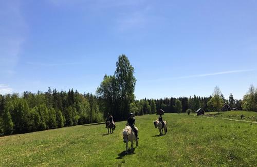 a group of people riding horses in a field at Grönelid Gård in Tived