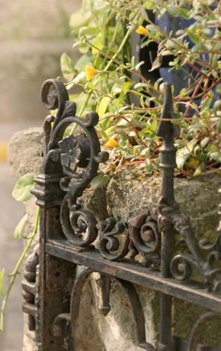 a iron fence with a potted plant on it at St. Francis Inn - Saint Augustine in Saint Augustine