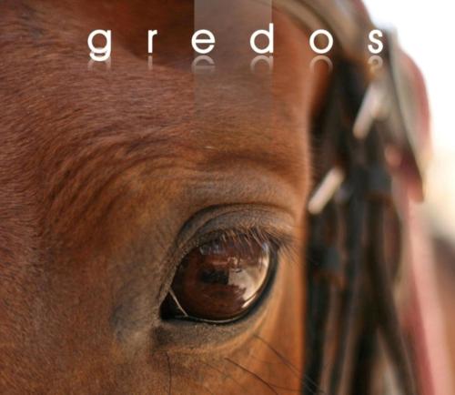 a close up of a horses eye with the words herd at Casa Rural Luna in Candeleda