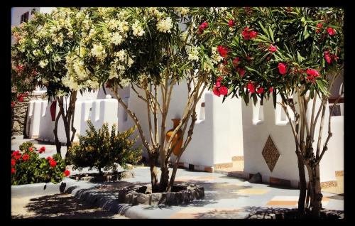 a group of trees in a courtyard with flowers at Irene's Residence in Mikonos