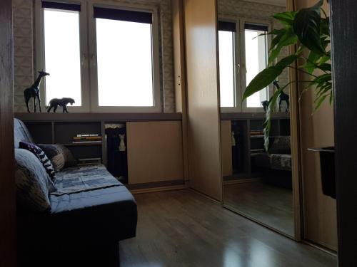 a living room with a couch and two windows at Apartament Tequila in Gdynia