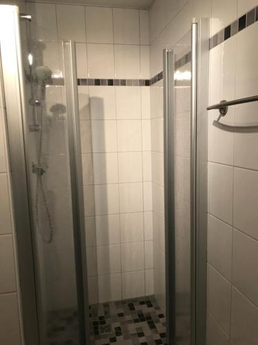 a shower with a glass door in a bathroom at Ferienwohnung Hage in Hage