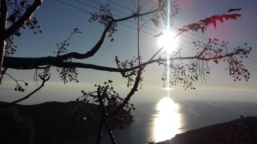 a view of the sun over the water at Katoikia Spathi in Spathi 