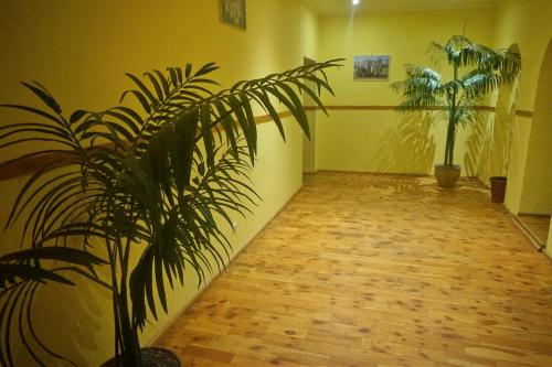 a room with a plant in the corner of a room at Hotel Erfolg in Daugavpils