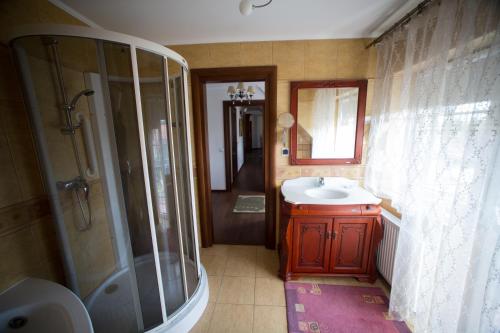 a bathroom with a sink and a shower and a toilet at Hotel & Spa Arkadia in Tomaszów Lubelski