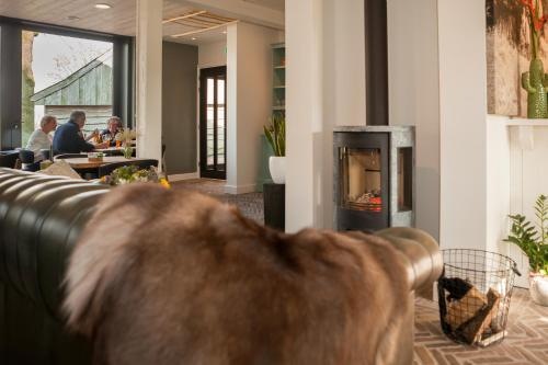 a couch in a living room with a fireplace at Bed & breakfast Hoeve Springendal in Hezingen