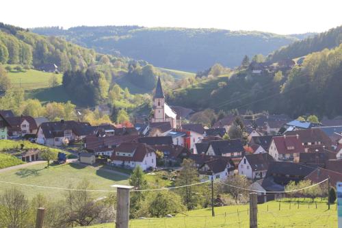 a small town with a church in a valley at Schwoererhof in Schweighausen
