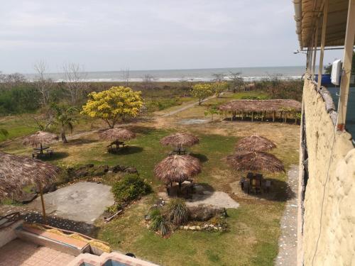 a group of straw umbrellas in a field at Hosteria Mar de Plata in Cabuyal