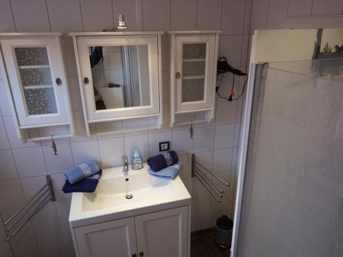 a bathroom with a white sink and a shower at Kranichnest in Hohwacht