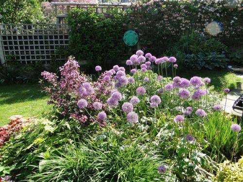 a garden with purple flowers in a yard at 118 Shepherds Lane in Dartford
