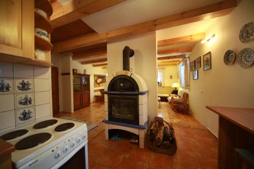 una cucina con piano cottura e forno in camera di Chalupa Na Bucharu a Javorná