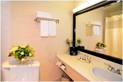 a bathroom with a sink and a toilet and a mirror at The Hospitality Inn in Port Alberni