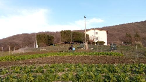 a farm with a house and a field of crops at Agriturismo Costa San Bernardo in Vaglio di Basilicata