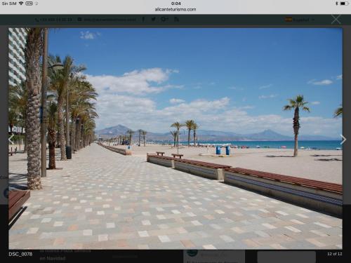 Sol y playa en San Juan Alicante