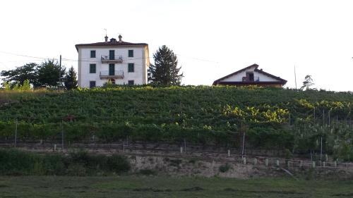 a house on top of a hill with vines at La Casa di Bacco B&B in Lerma