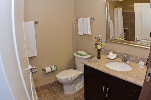 a bathroom with a toilet and a sink and a mirror at MainStay Suites Rapid City in Rapid City