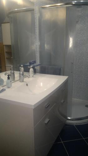 La salle de bains est pourvue d'un lavabo blanc et d'une douche. dans l'établissement chambre au nuit étoile et jacuzzi prive, à Pleuven
