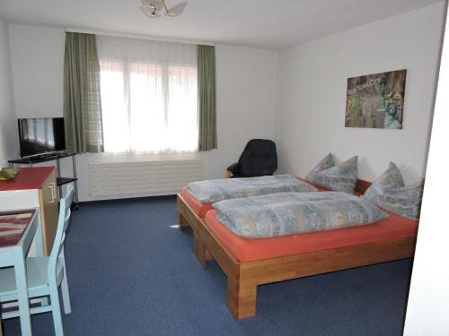 Dormitorio con cama, escritorio y TV en Hotel Schoenau, en Wohlen