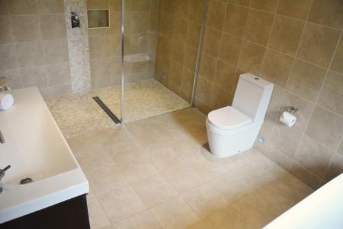 een badkamer met een douche, een toilet en een wastafel bij Campion Lodge in Chappel
