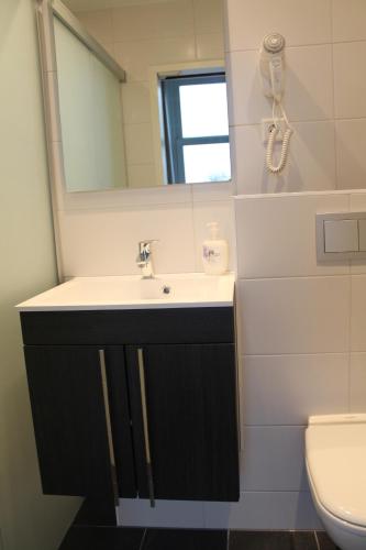 a bathroom with a sink and a mirror and a toilet at Hotel van Dijk in Kampen