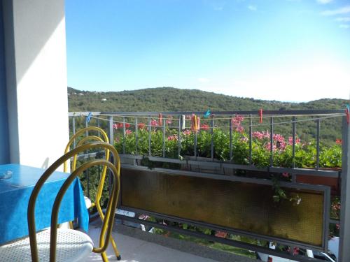 a balcony with a planter with flowers on it at Apartments Andela in Brseč