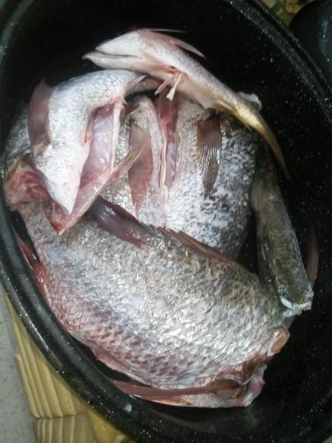 a bunch of fish sitting in a pan at PaCasa Hostel in David