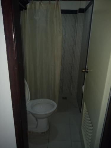 a bathroom with a toilet and a shower at Metro Vigan Inn in Vigan