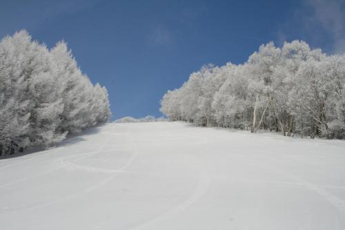 Arcadia v zimě