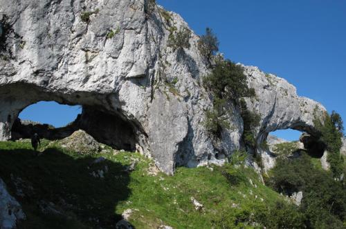 Φυσικό τοπίο κοντά σε αυτό το διαμέρισμα