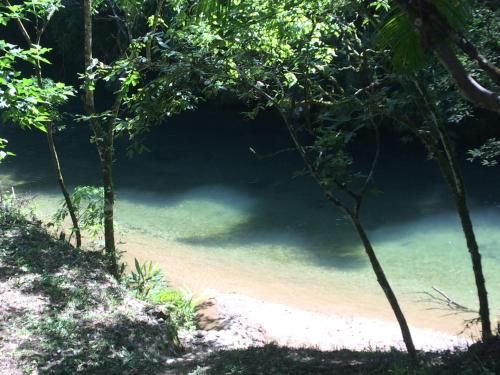 a pool of water in the middle of a forest at Down The River Hostel in Iporanga