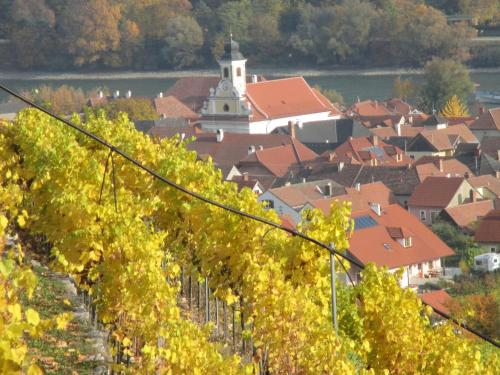 a town with vineyards and a church in the background at GästeHaus Rudolf u. Sandra DENK in Wösendorf